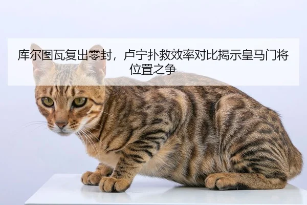库尔图瓦复出零封，卢宁扑救效率对比揭示皇马门将位置之争