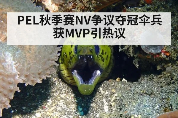 PEL秋季赛NV争议夺冠伞兵获MVP引热议